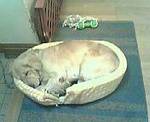 200312142247000.jpg